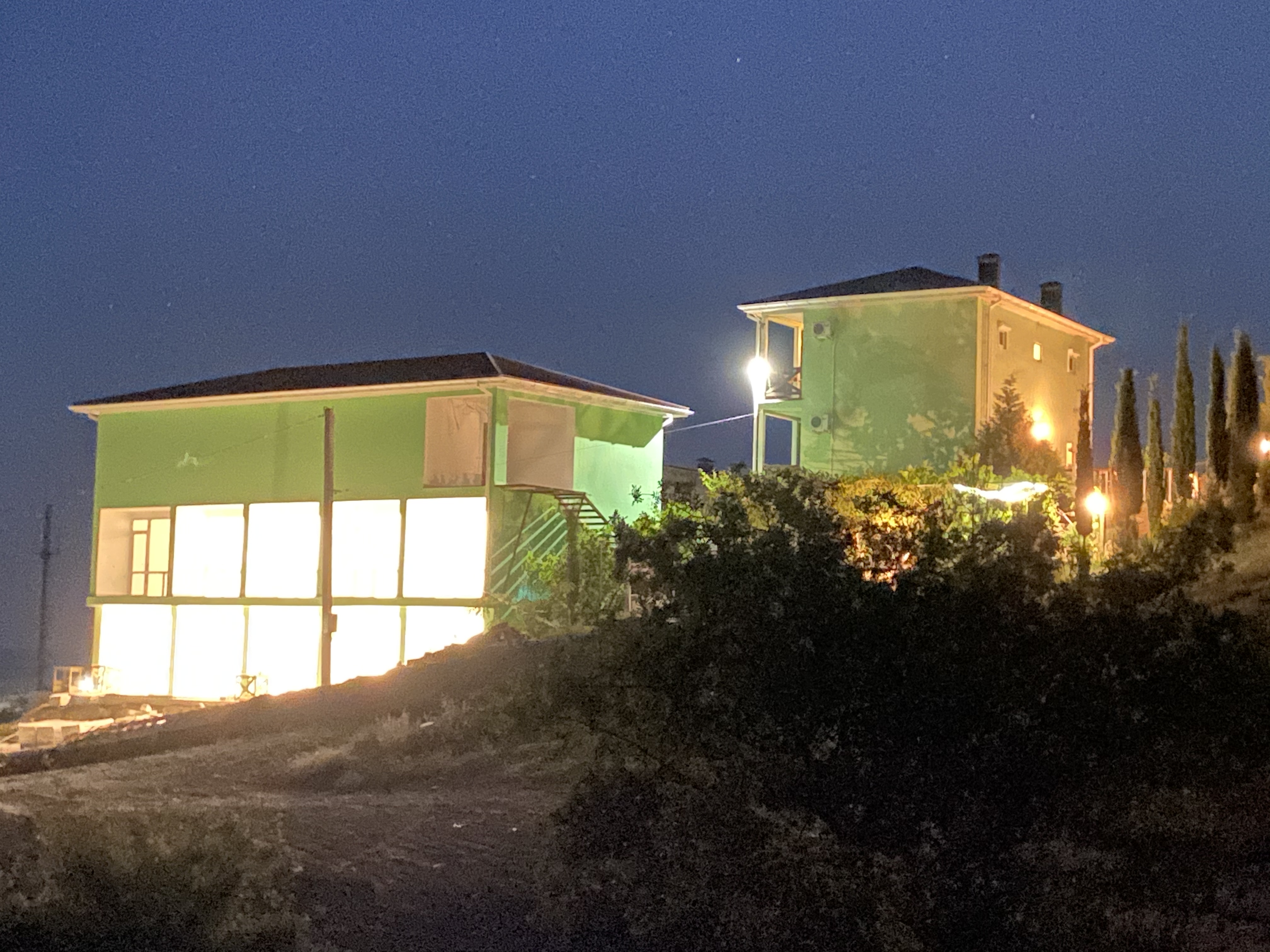 Фото Кипарис