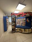 Раменская Детская библиотека № 1 (Коммунистическая ул., 7, Раменское), библиотека в Раменском