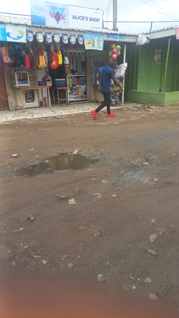 Household goods and chemicals shop Alice's, Accra, photo