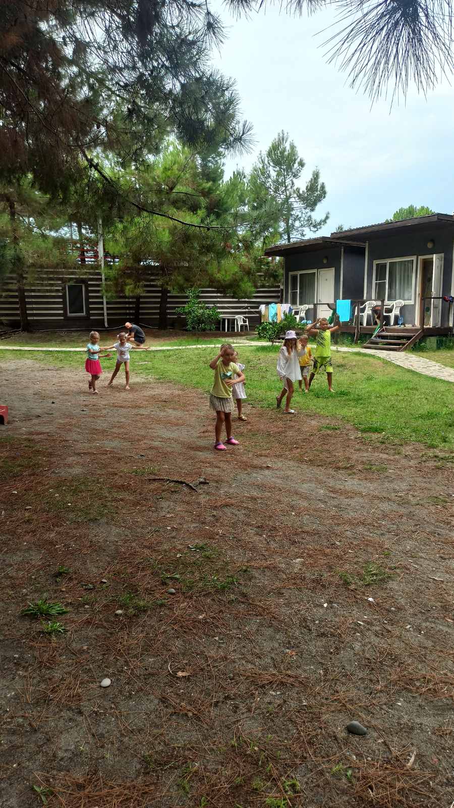 Фото Forest Club