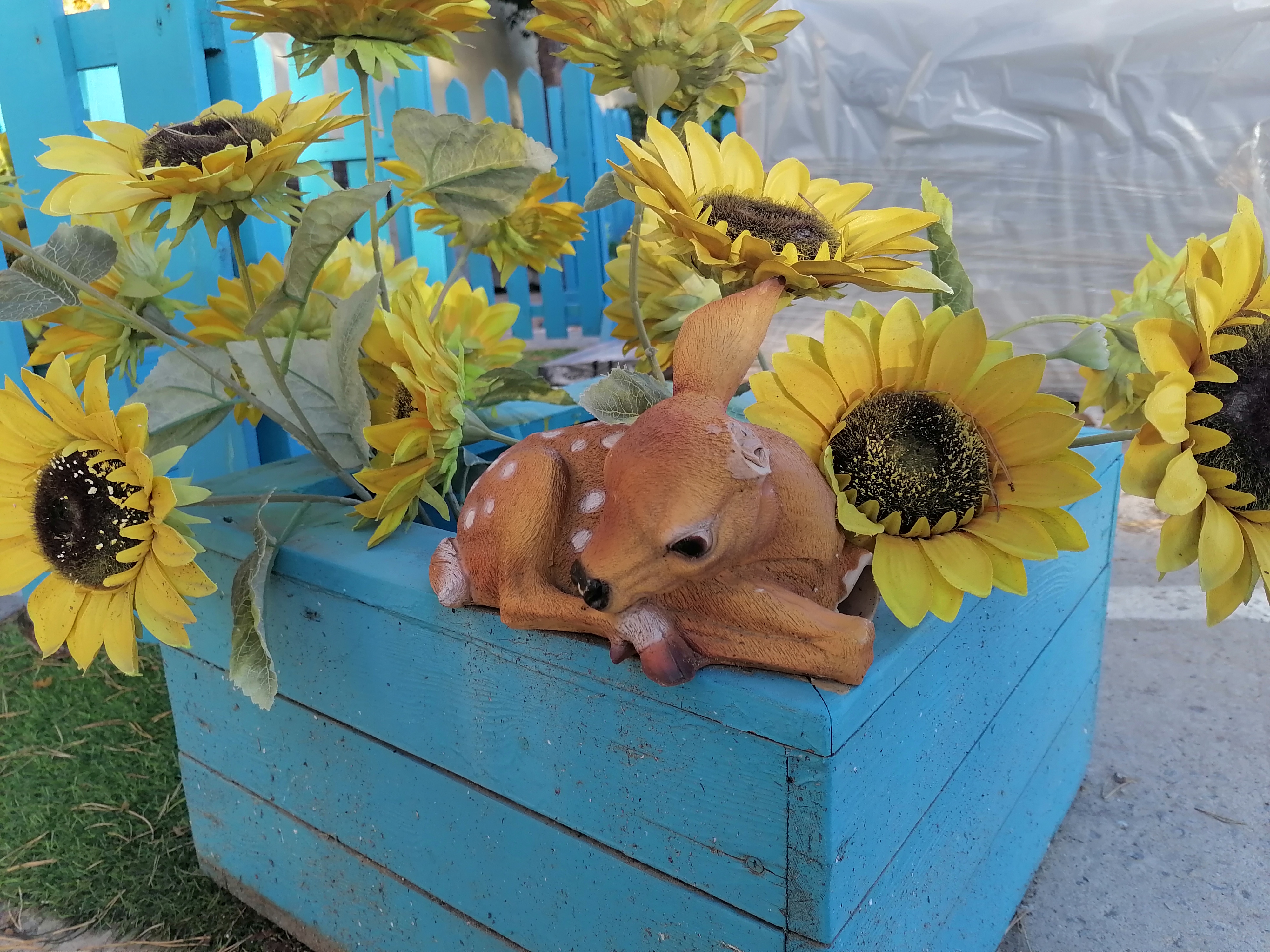 Фото Лесная поляна