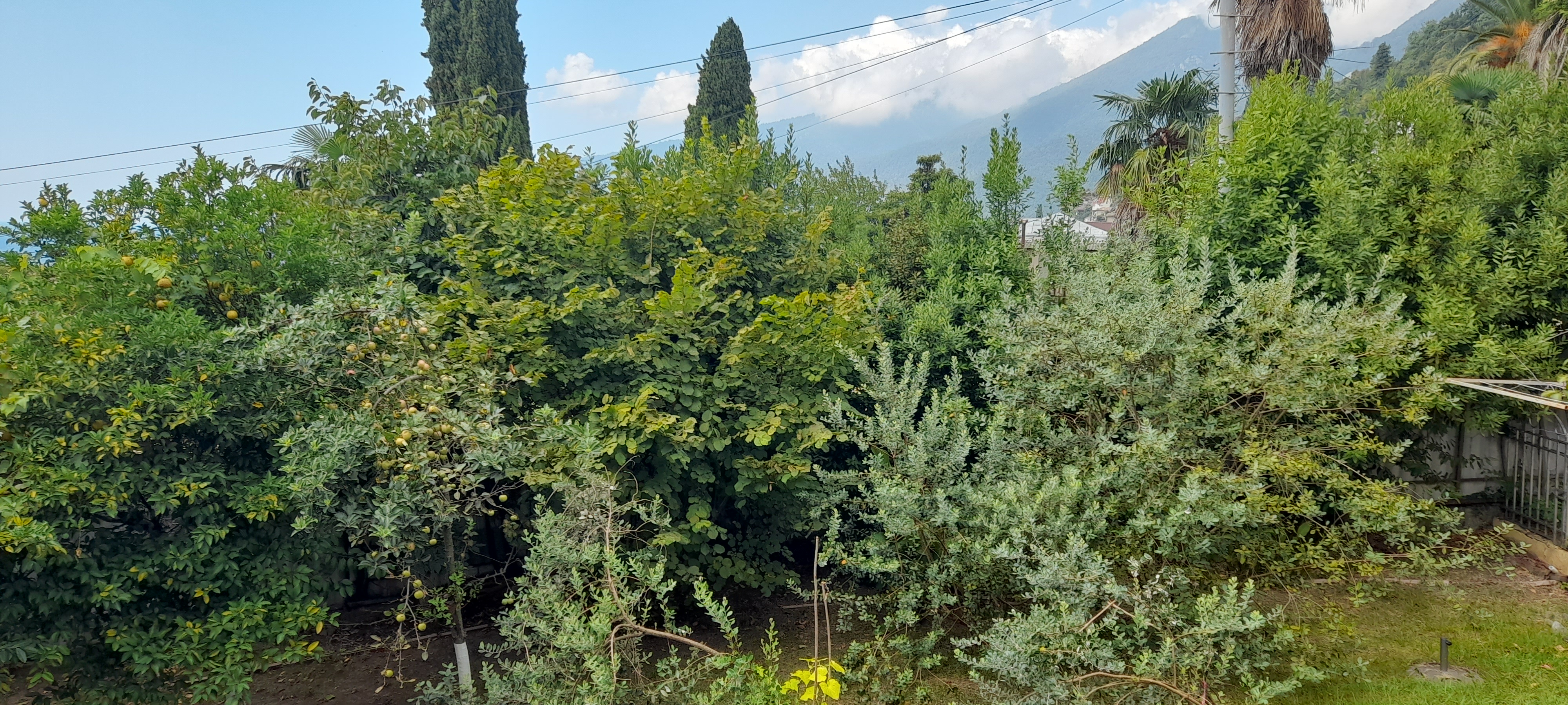 Фото Бестужеский дворик