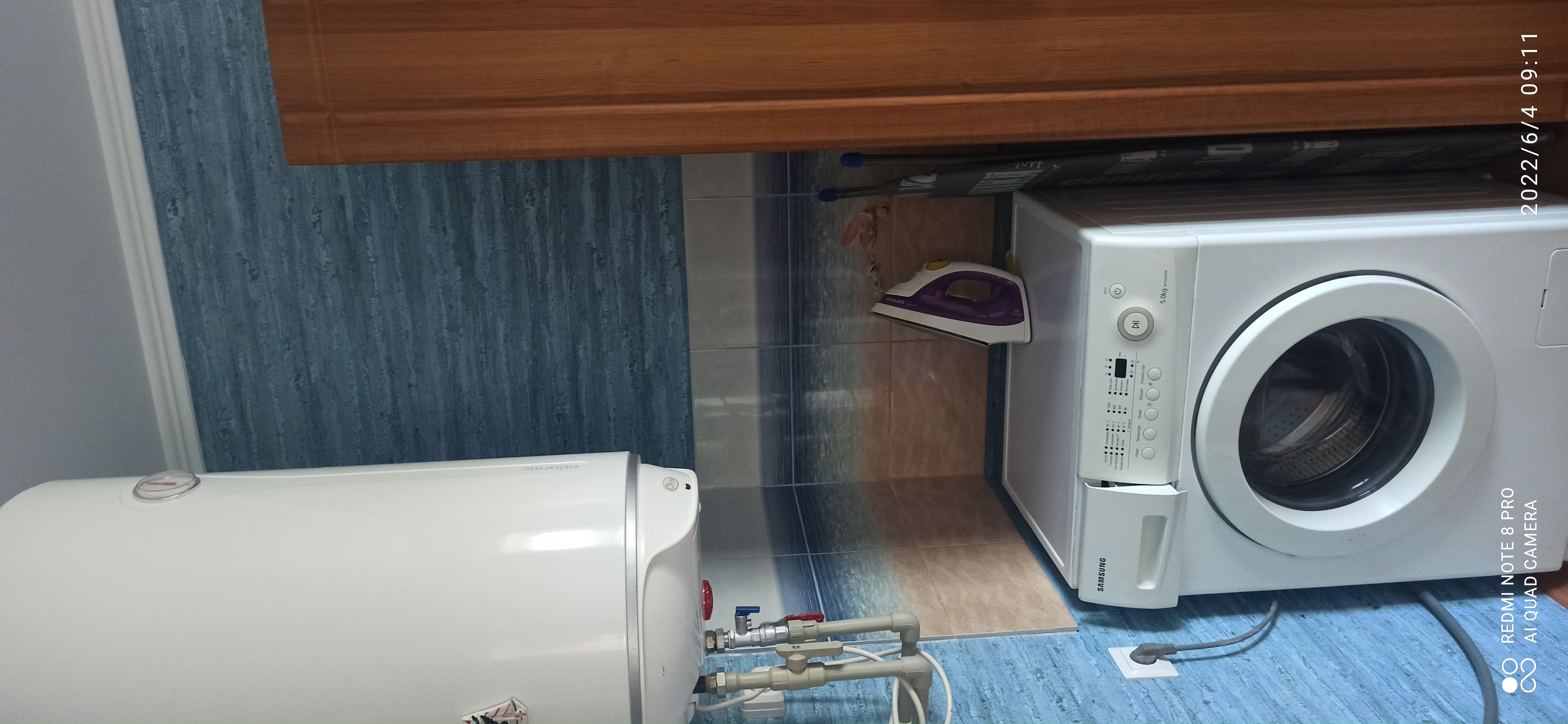 Фото Цветок папоротника