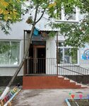 Детский сад № 480 (Kiyevskaya ulitsa, 17/1), kindergarten, nursery
