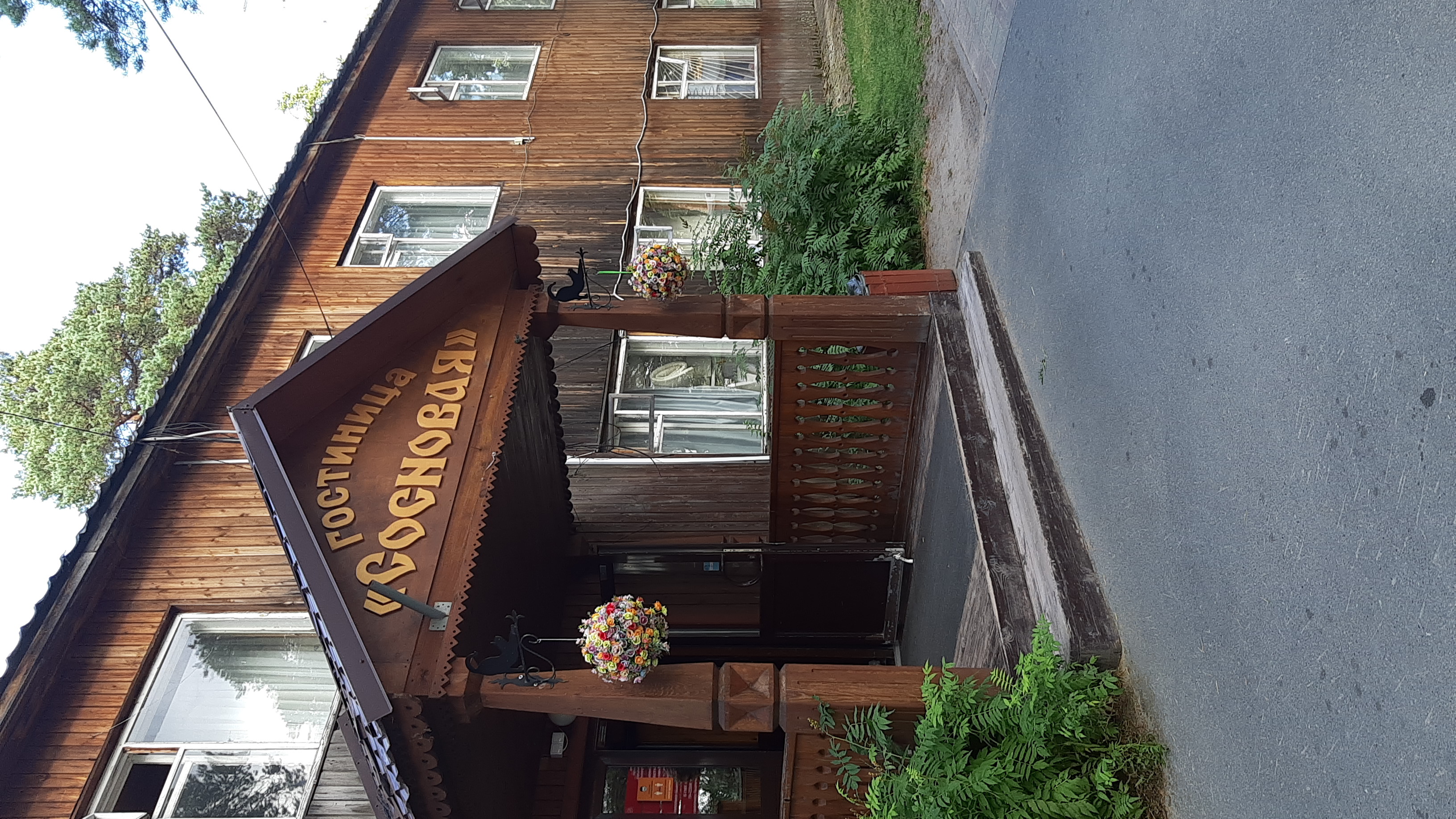 Фото Сосновая