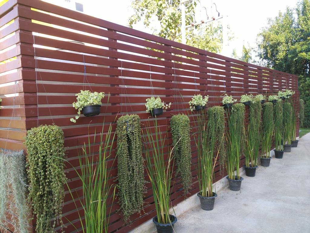 Фото Cm Garden