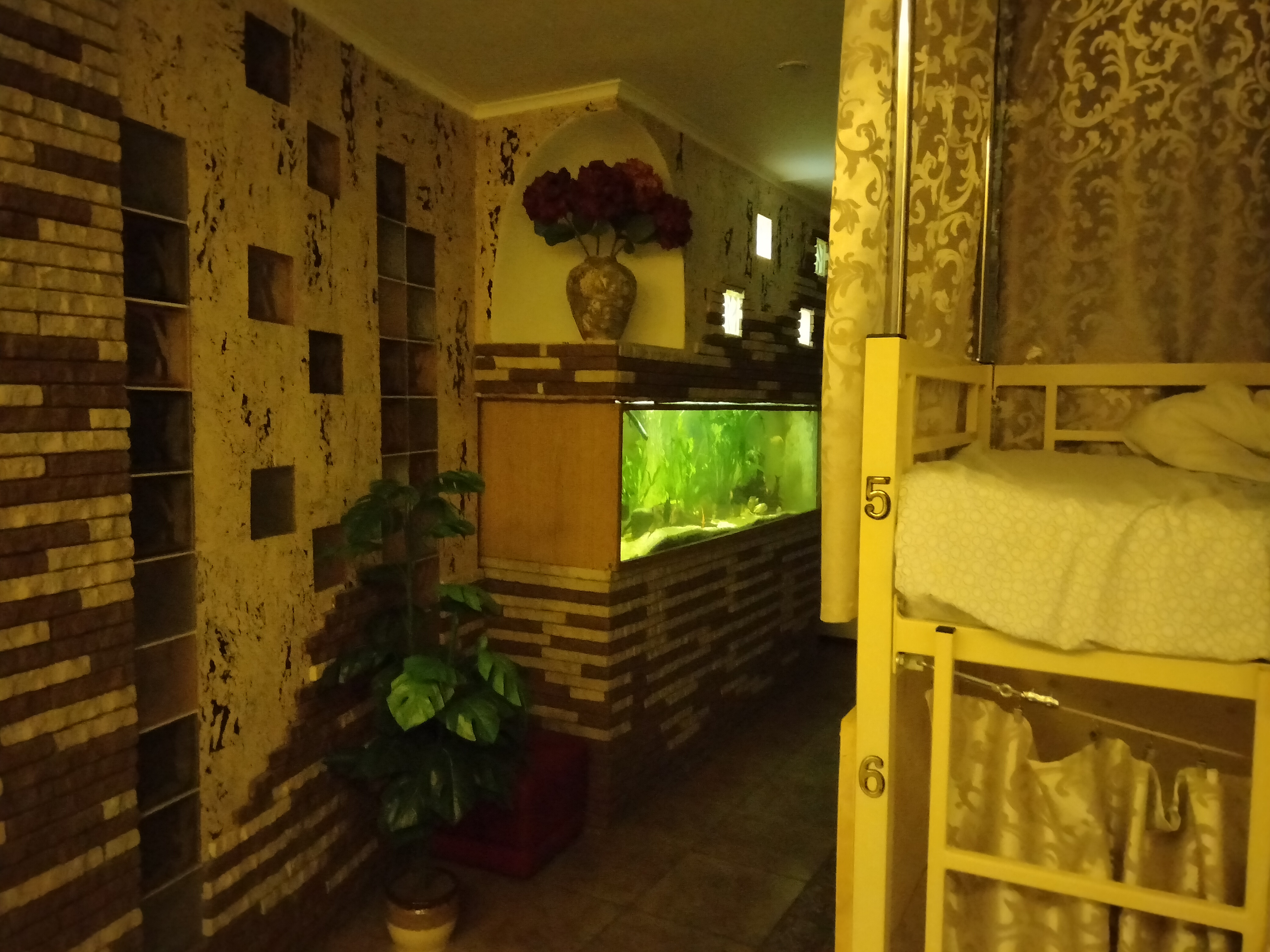 Фото Аравана