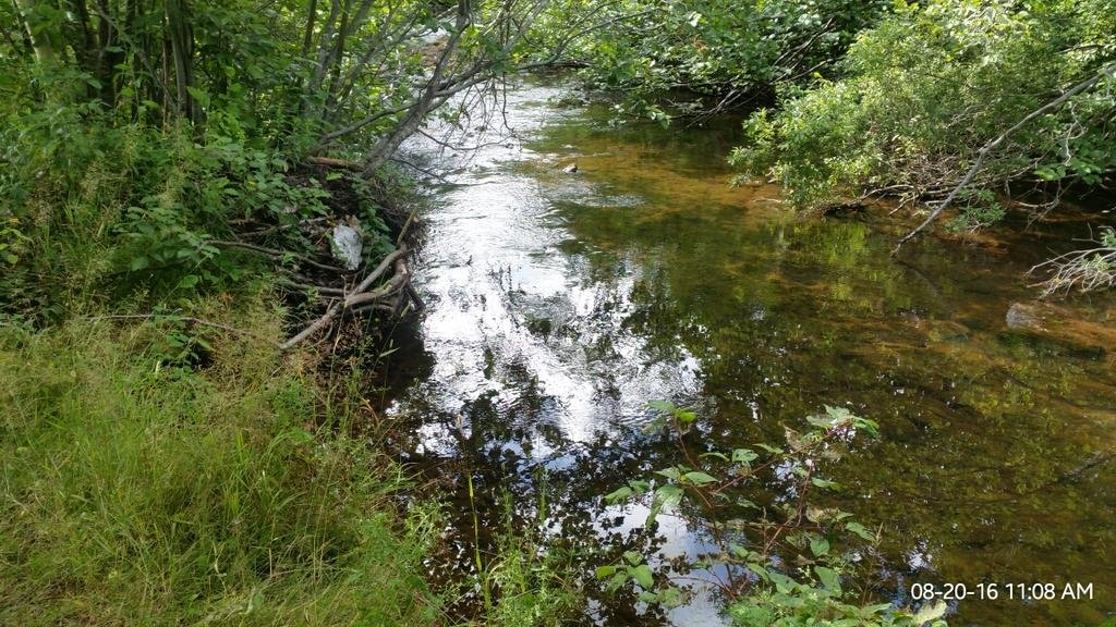 Фото Rodd Mill River Resort