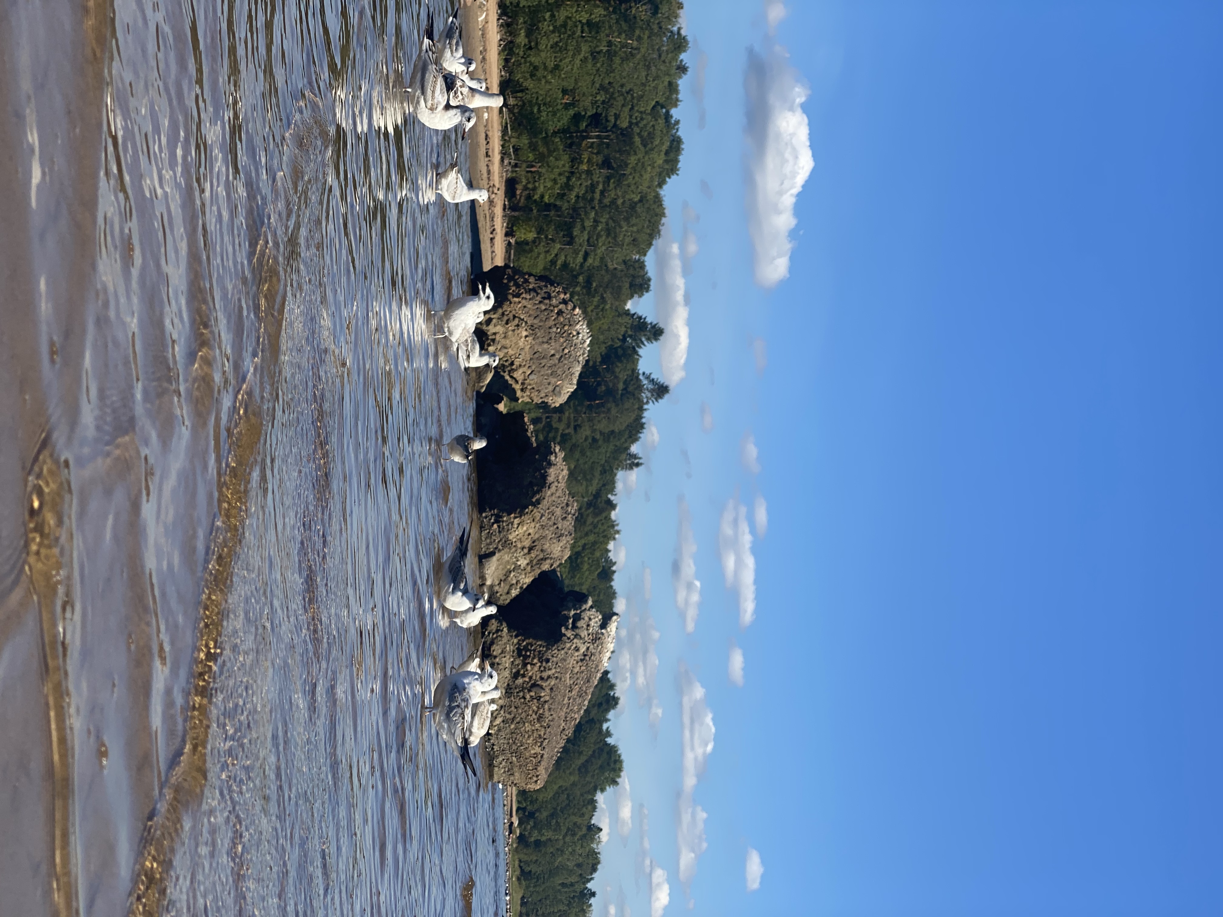 Фото Гелиос