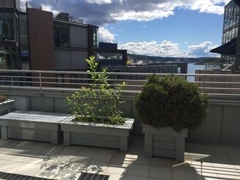 Фото Norwegian Hotelapartments