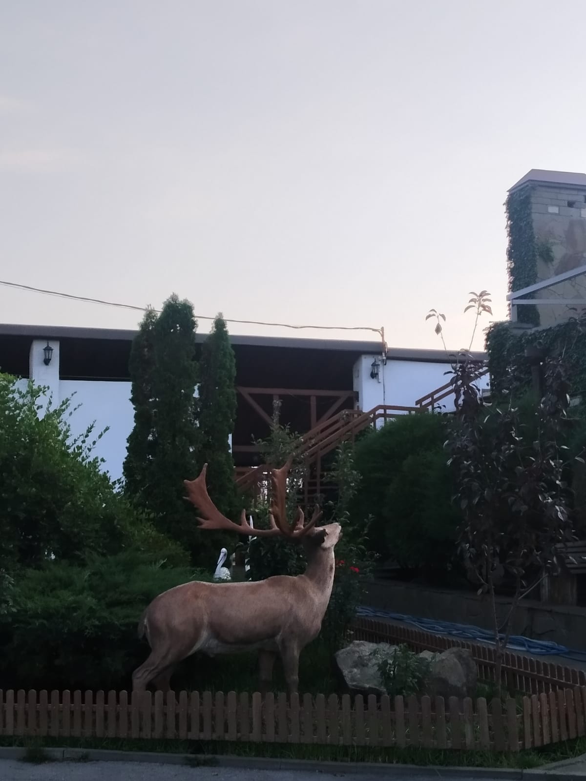 Фото Охотничий клуб