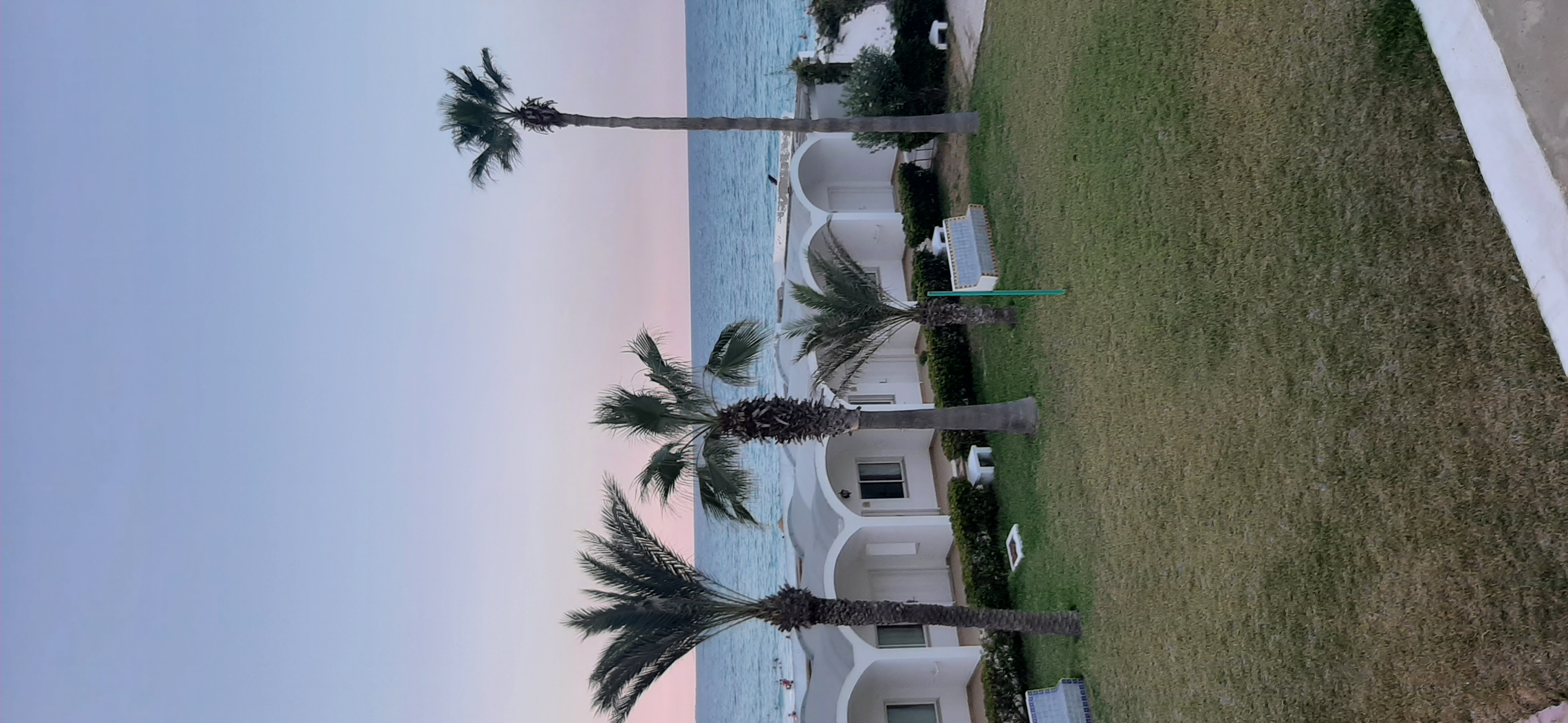 Фото PrimaSol El Mehdi