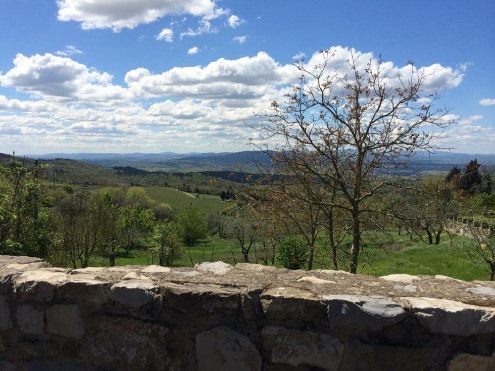 Фото Il Paggino Chianti Accommodation