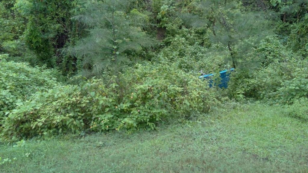 Фото Allegro Holiday Suites