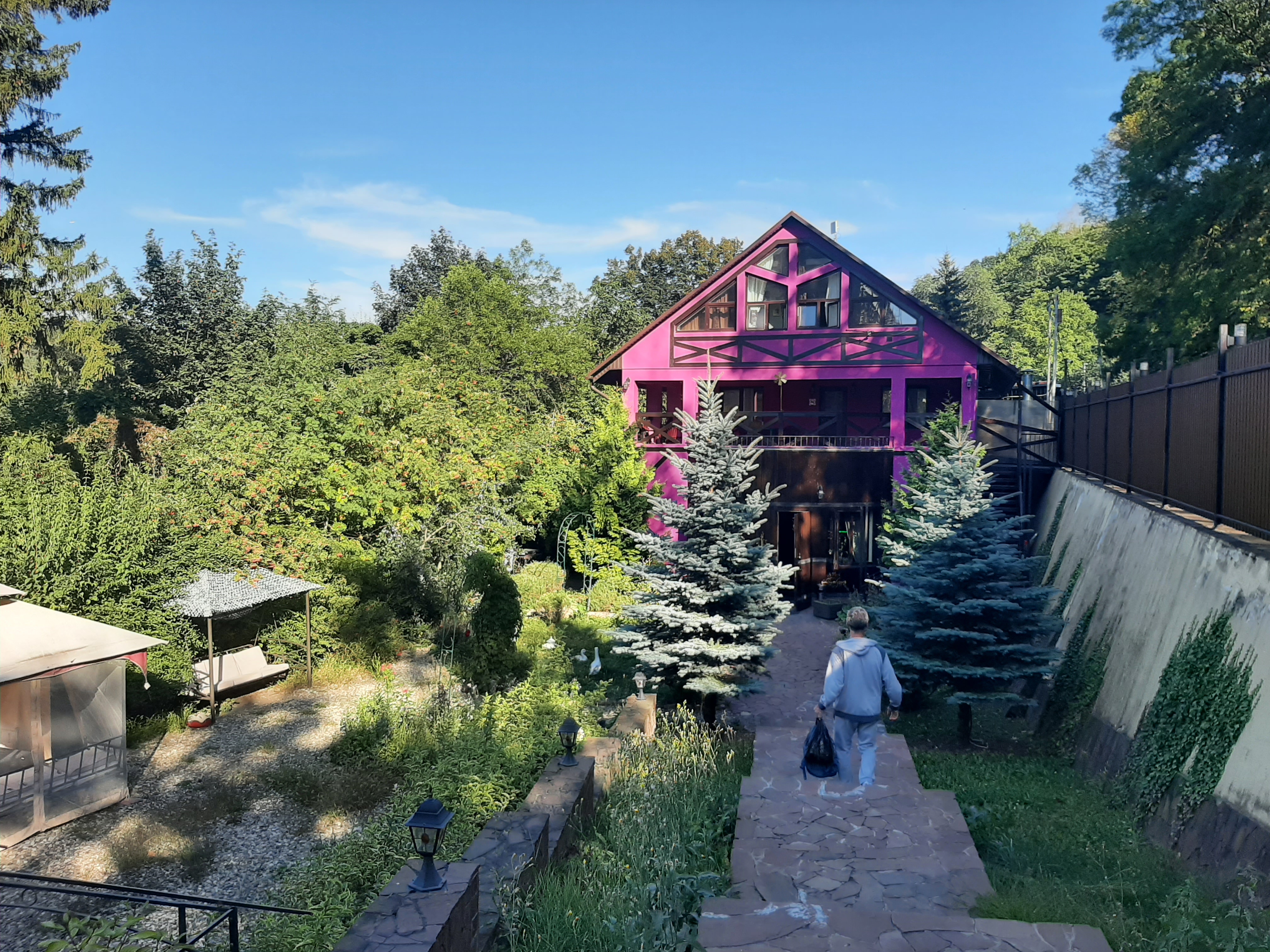 Фото Золотой Гусь