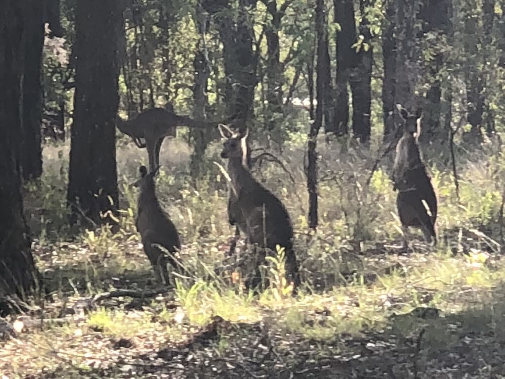 Фото Villa Provence