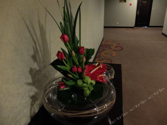 Фото Yashidu Suites Hotel