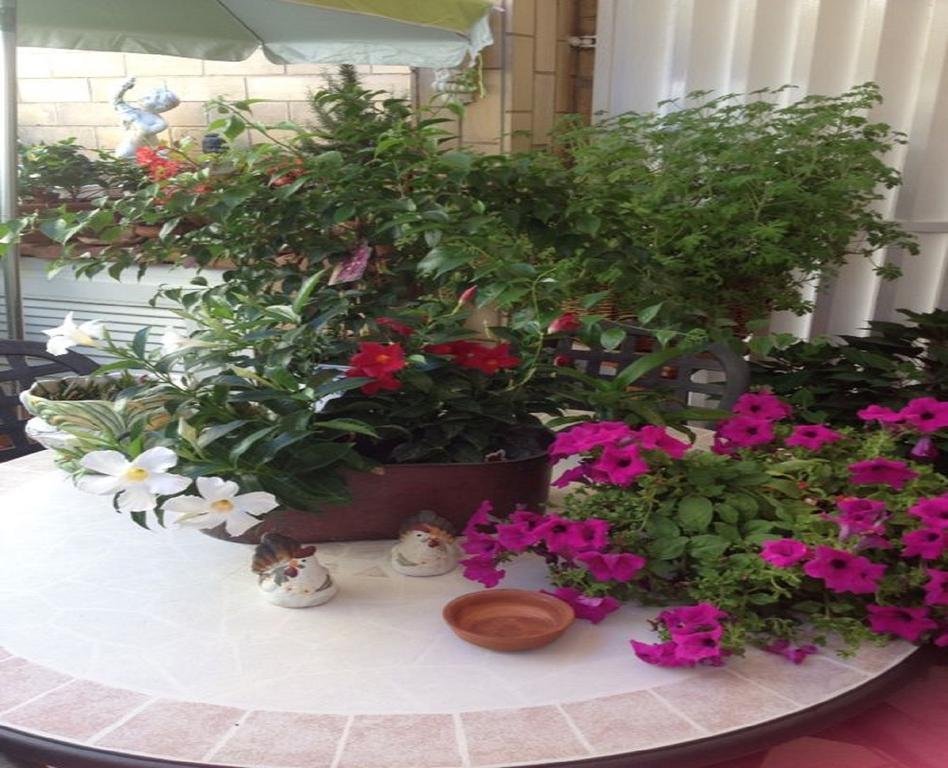 Фото Lucilla's World B&b