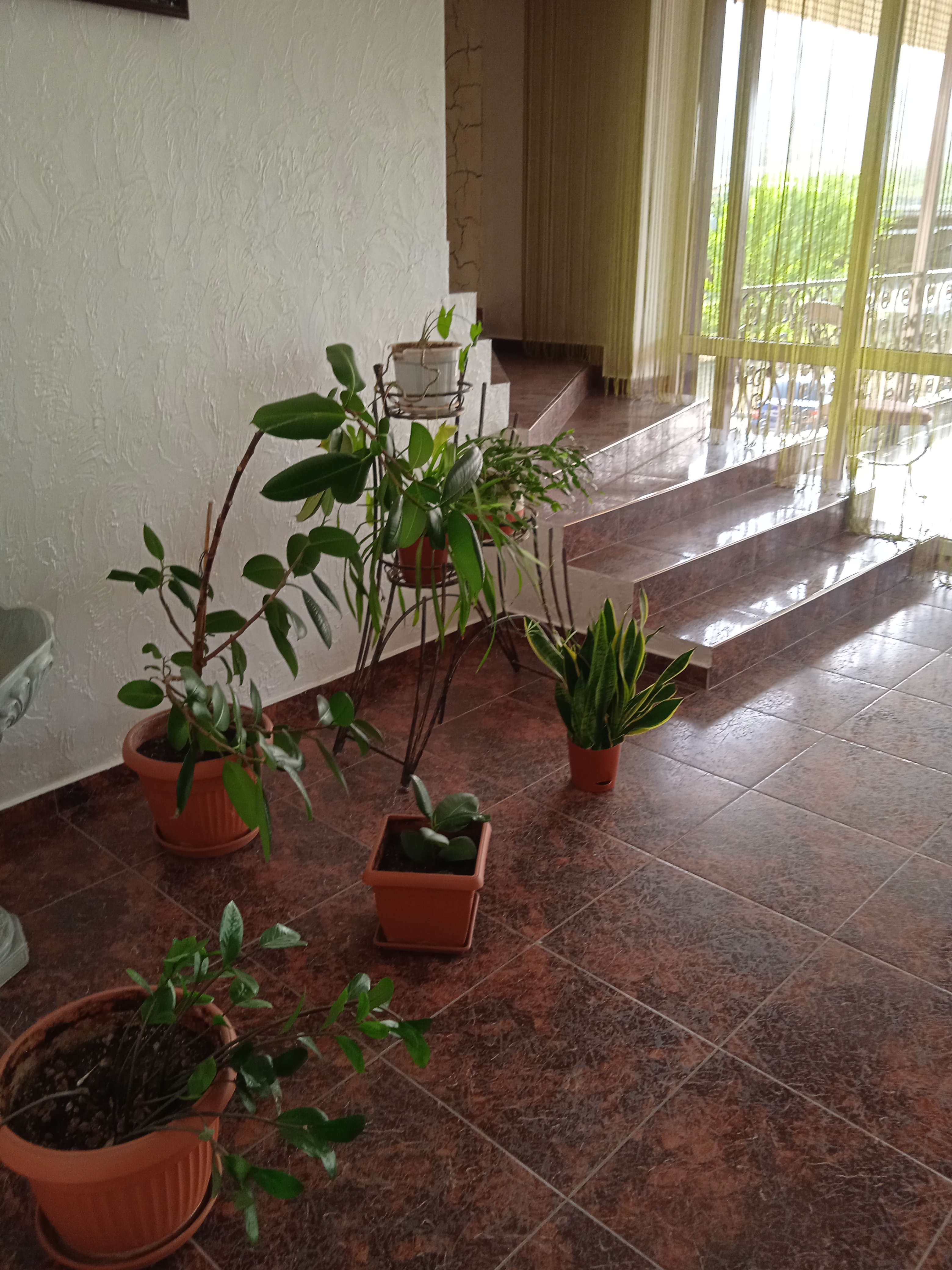 Фото Империал