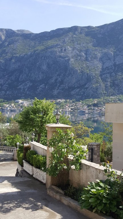 Фото Hotel Galia