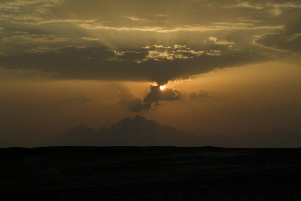 Фото Flamenco Beach and Resort