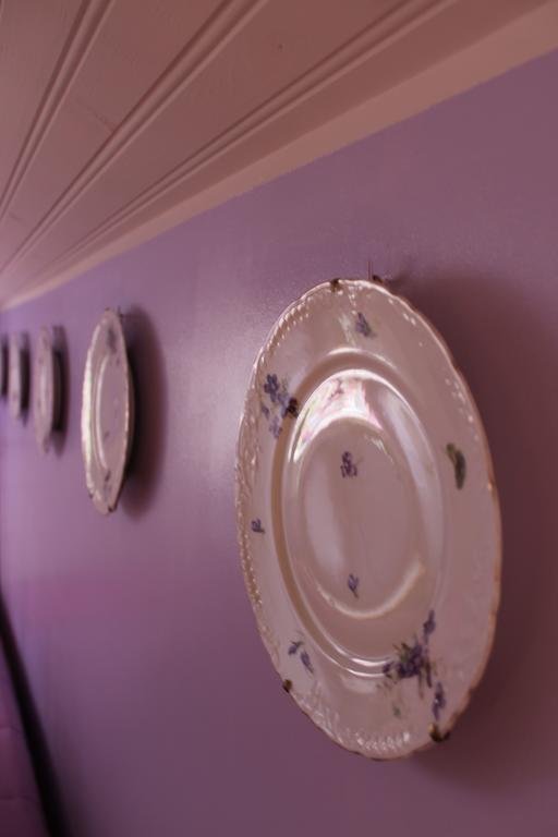 Фото Fiore di Zucca