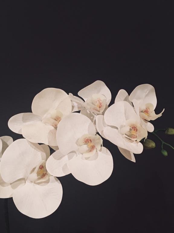 Фото No. 10 Broadway