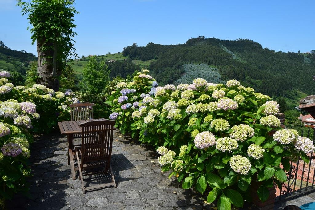 Фото Trisqueles y Buganvillas