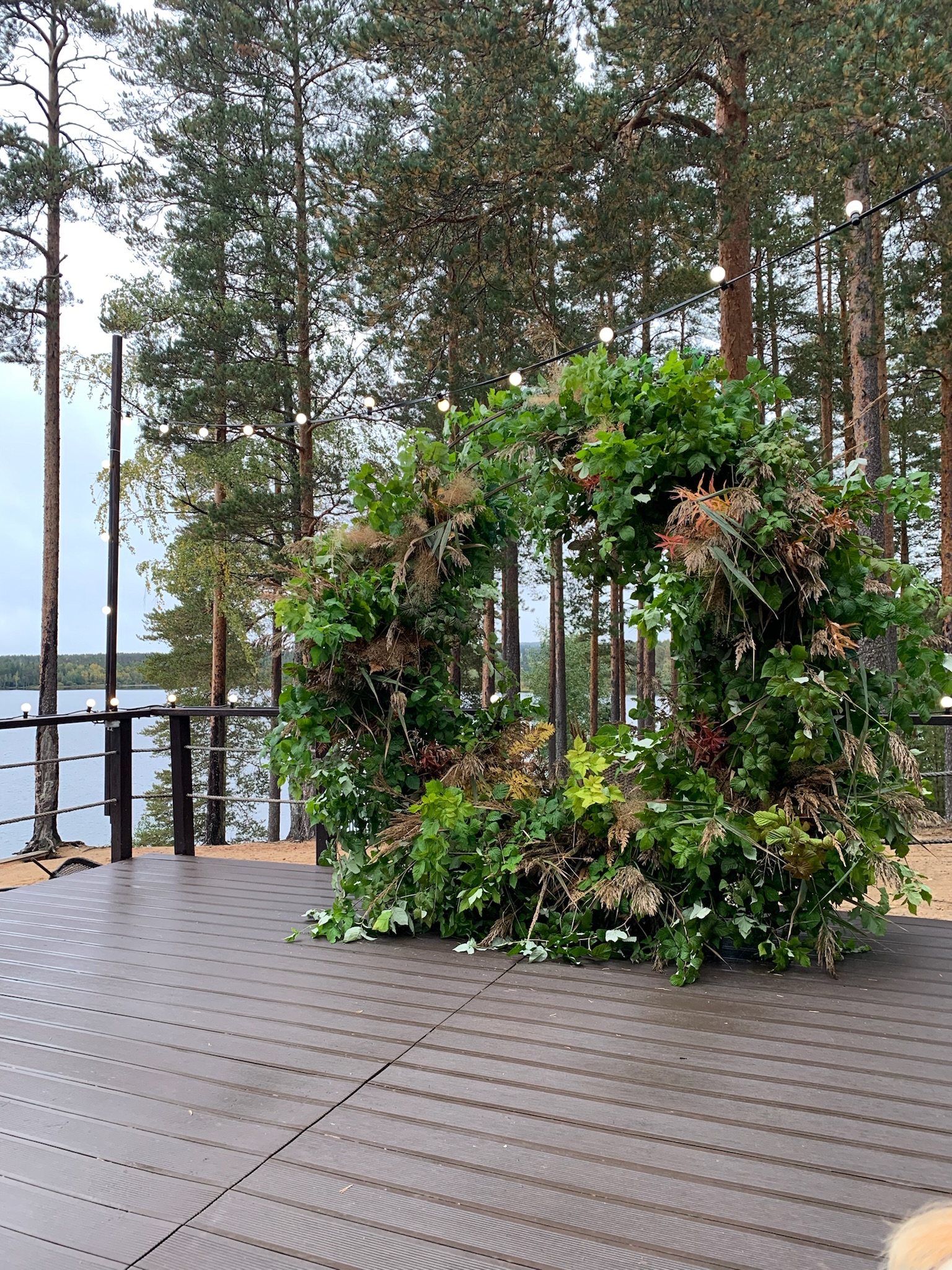 Фото Лесная Рапсодия