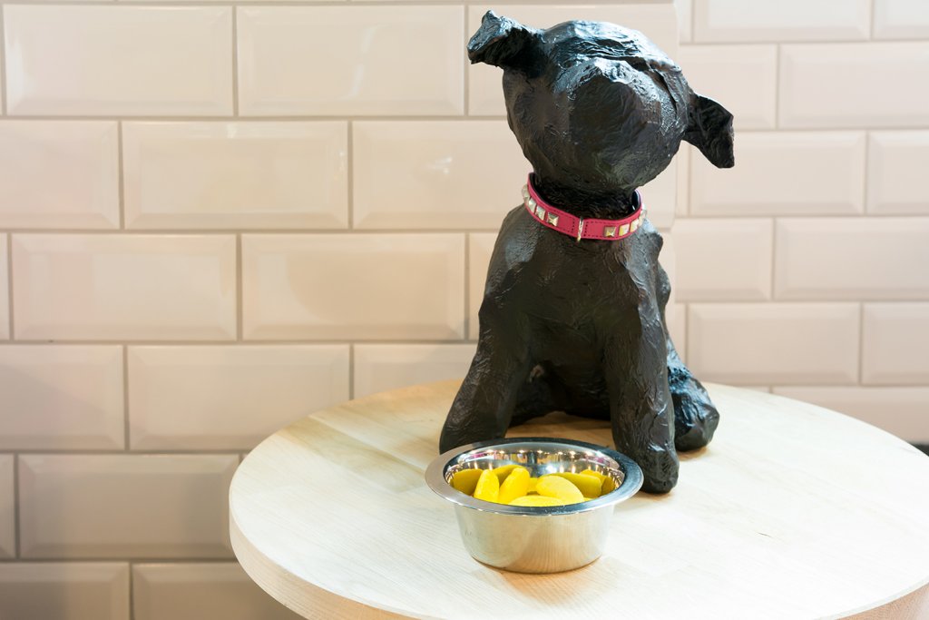 Фото Qbic Hotel Amsterdam WTC