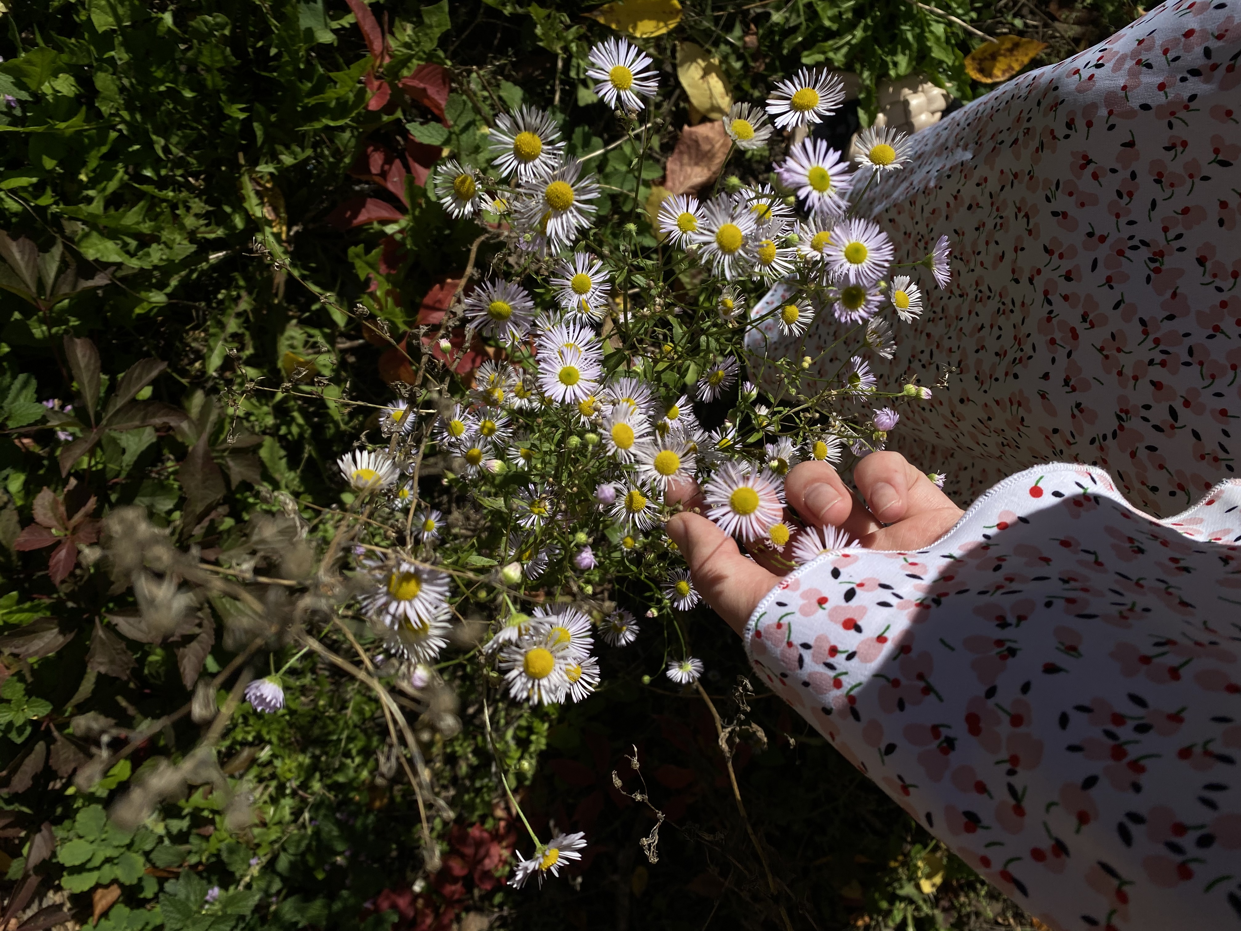 Фото Марийка