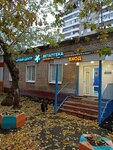 Беркин хофф (Нарвская ул., 9А, Москва), ветеринарная клиника в Москве