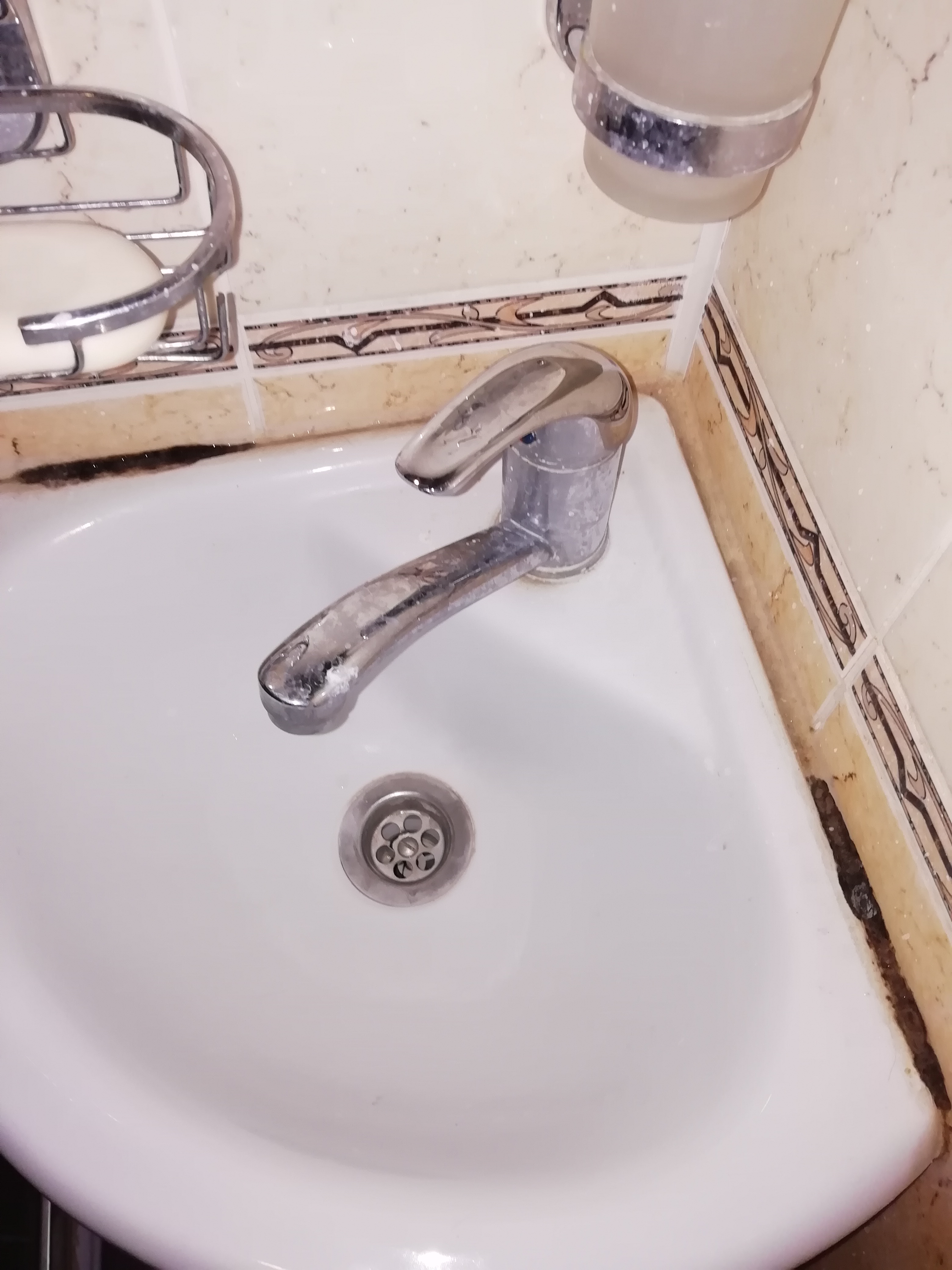 Фото Наш Елец