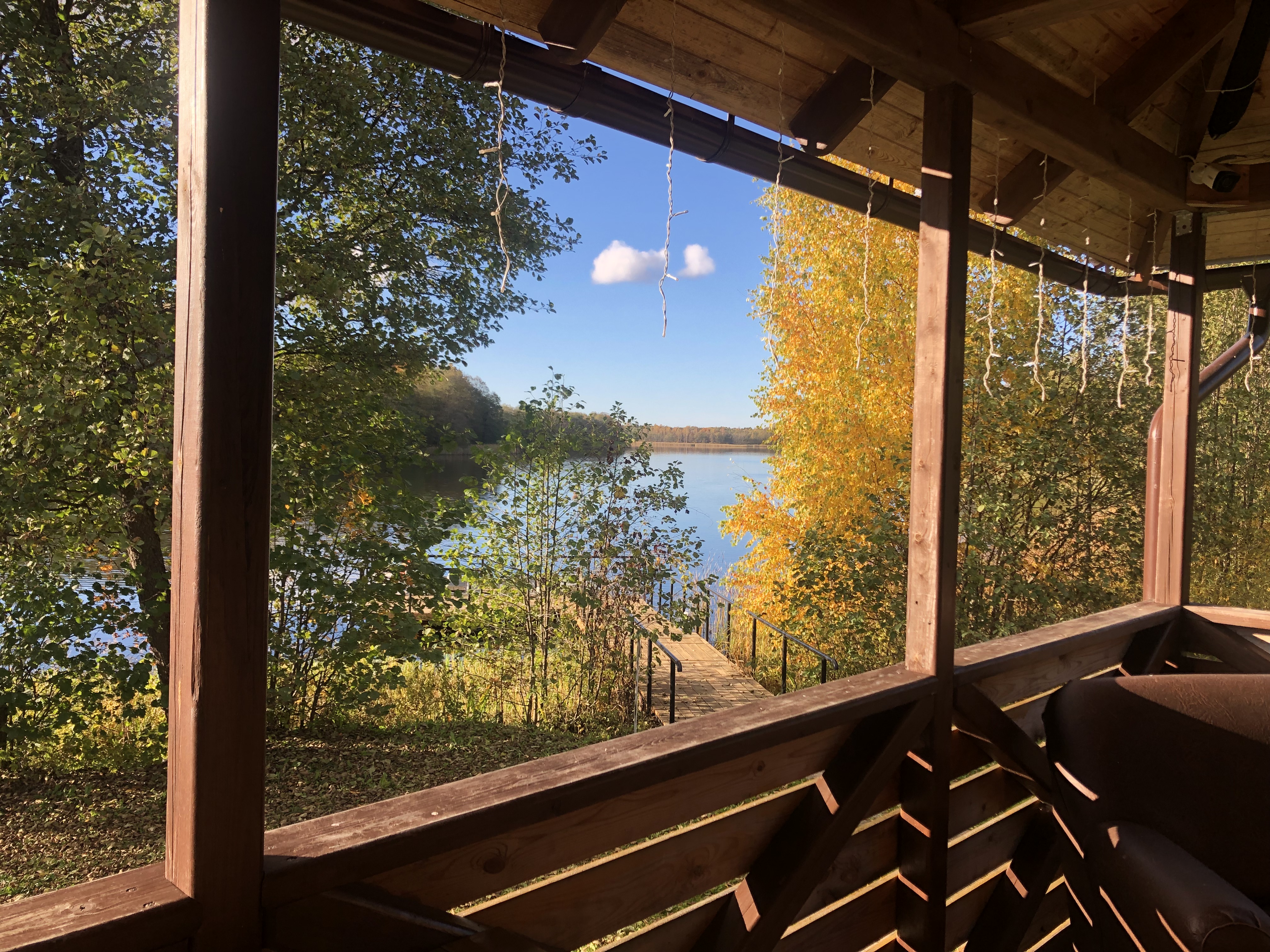 Фото Лесная гавань