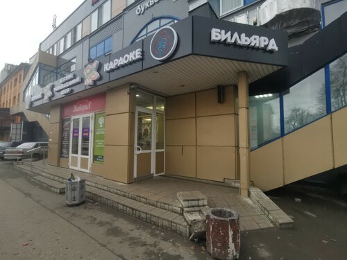 Киселева подшипники псков