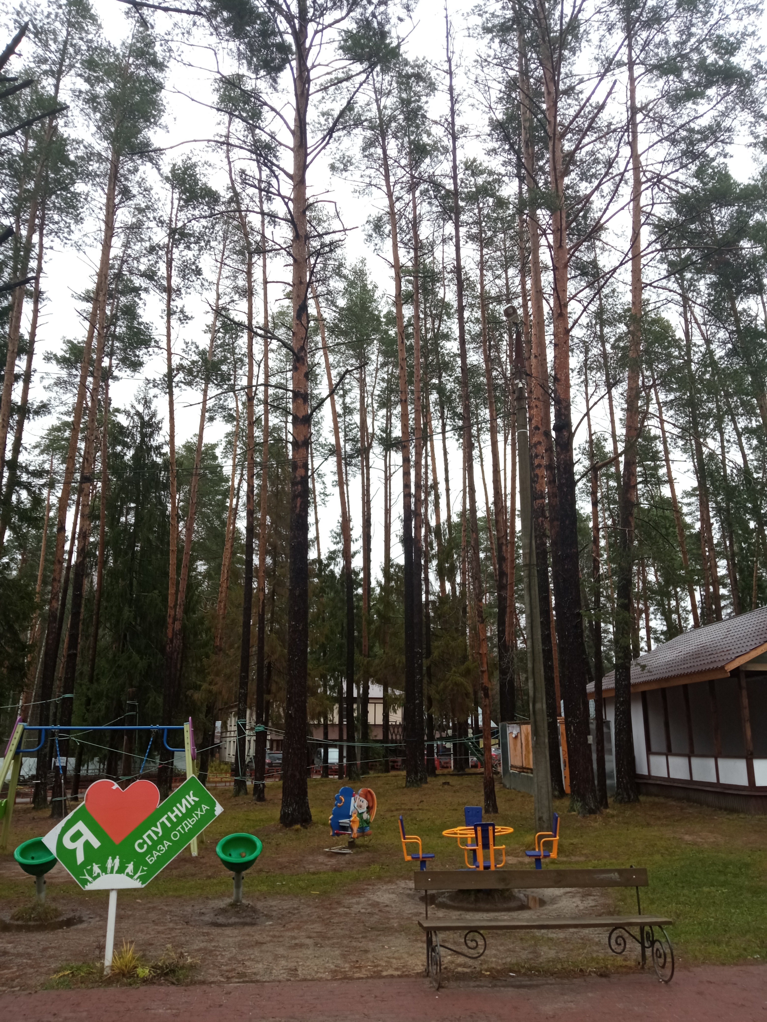 Фото Спутник