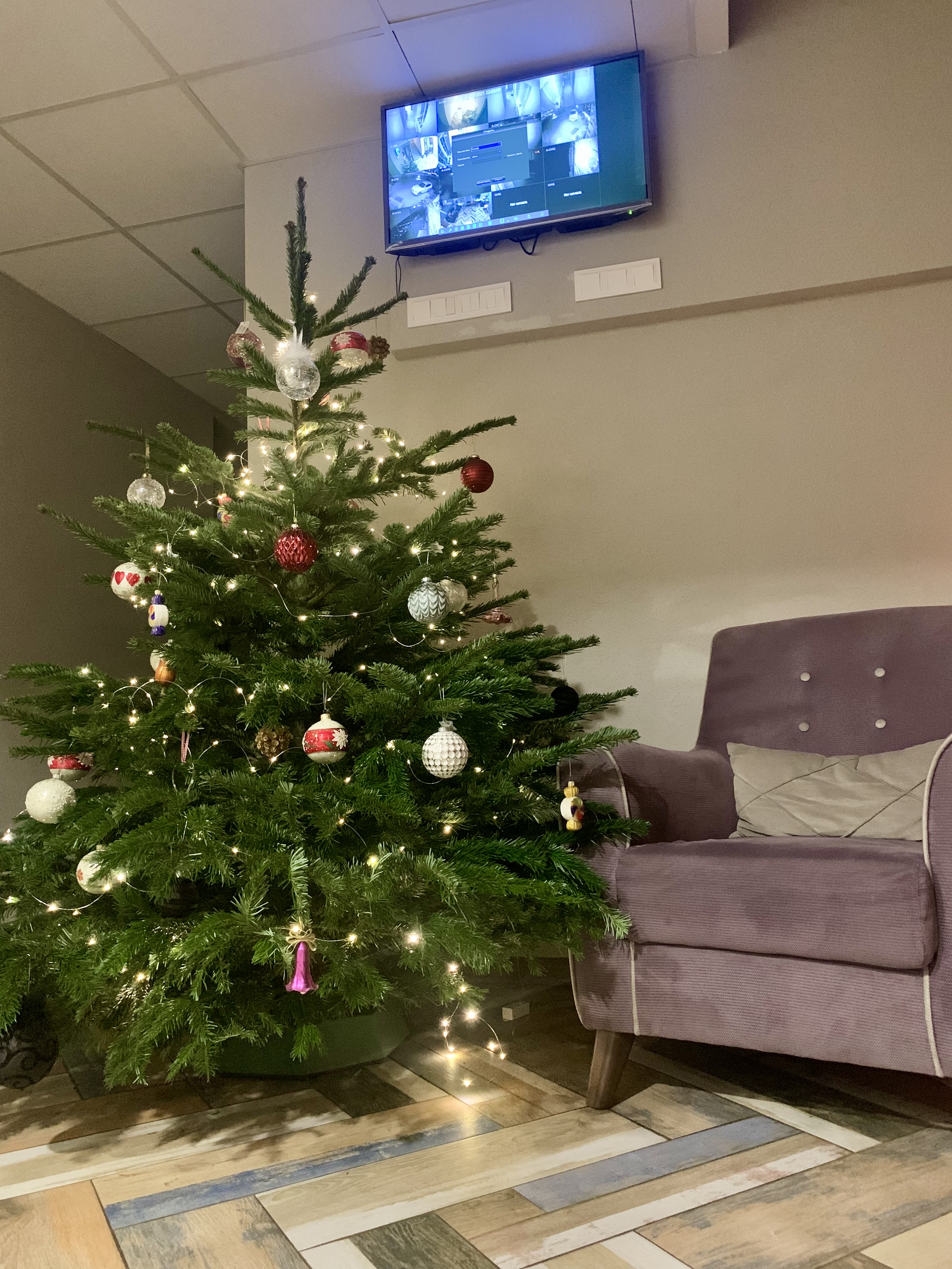 Фото Жданова апарт