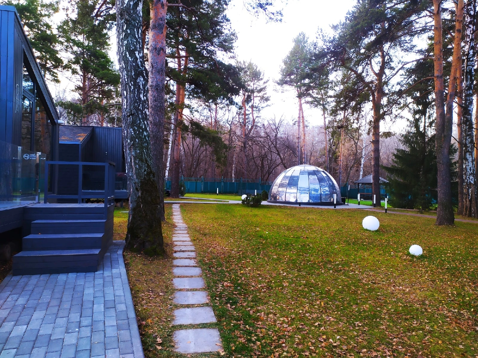 Фото Сосновый бор