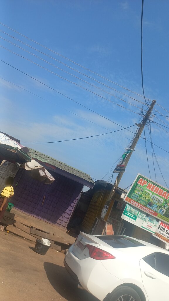 Phytoproducts, dietary supplements AP Herbal Shop, Earth, photo