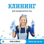 Глобал Клининг (Mineralnaya Street, 13Ч), servicio de limpieza