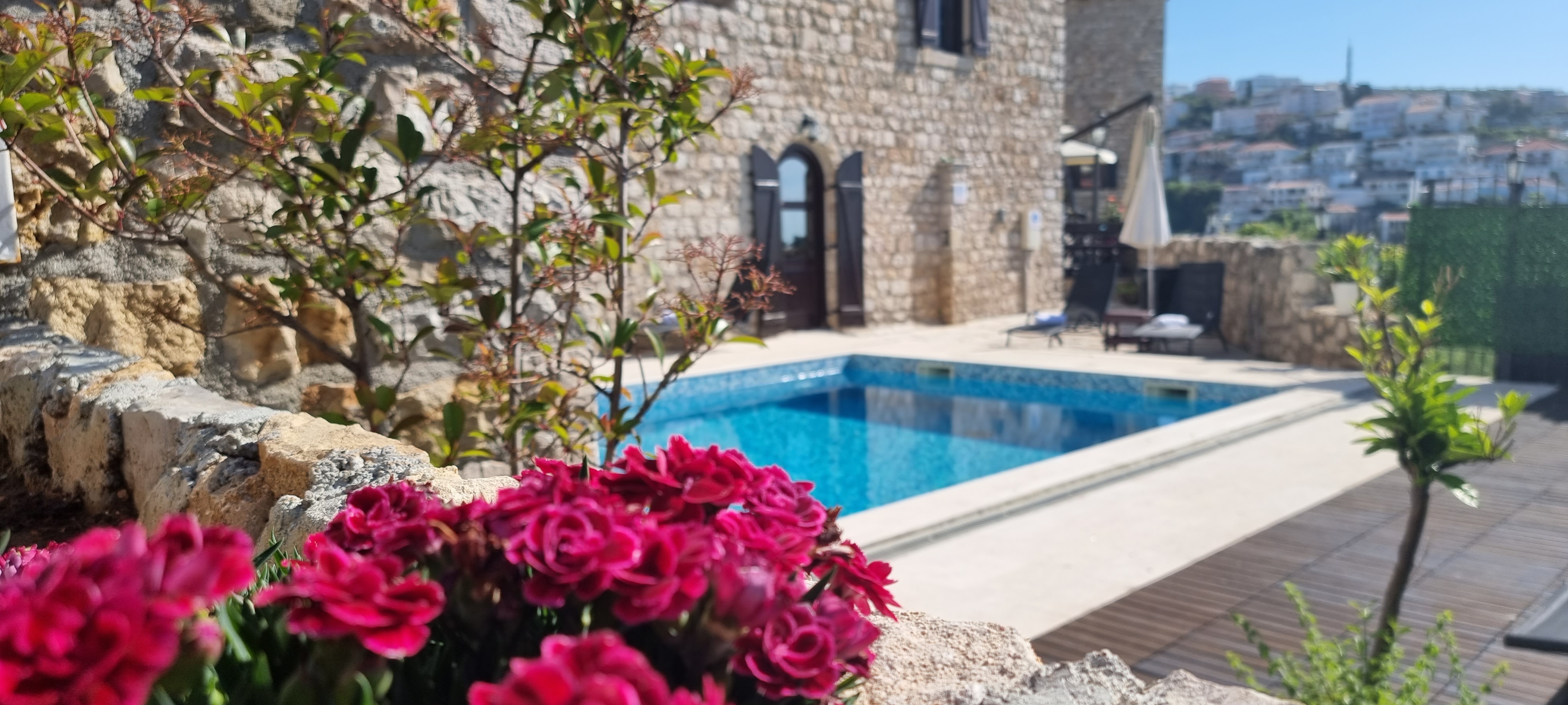 Фото Palata Venezia