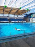 Dolphinarium (stanitsa Golubitskaya, Kurortnaya Street, 3) ، حوض الدلافين
