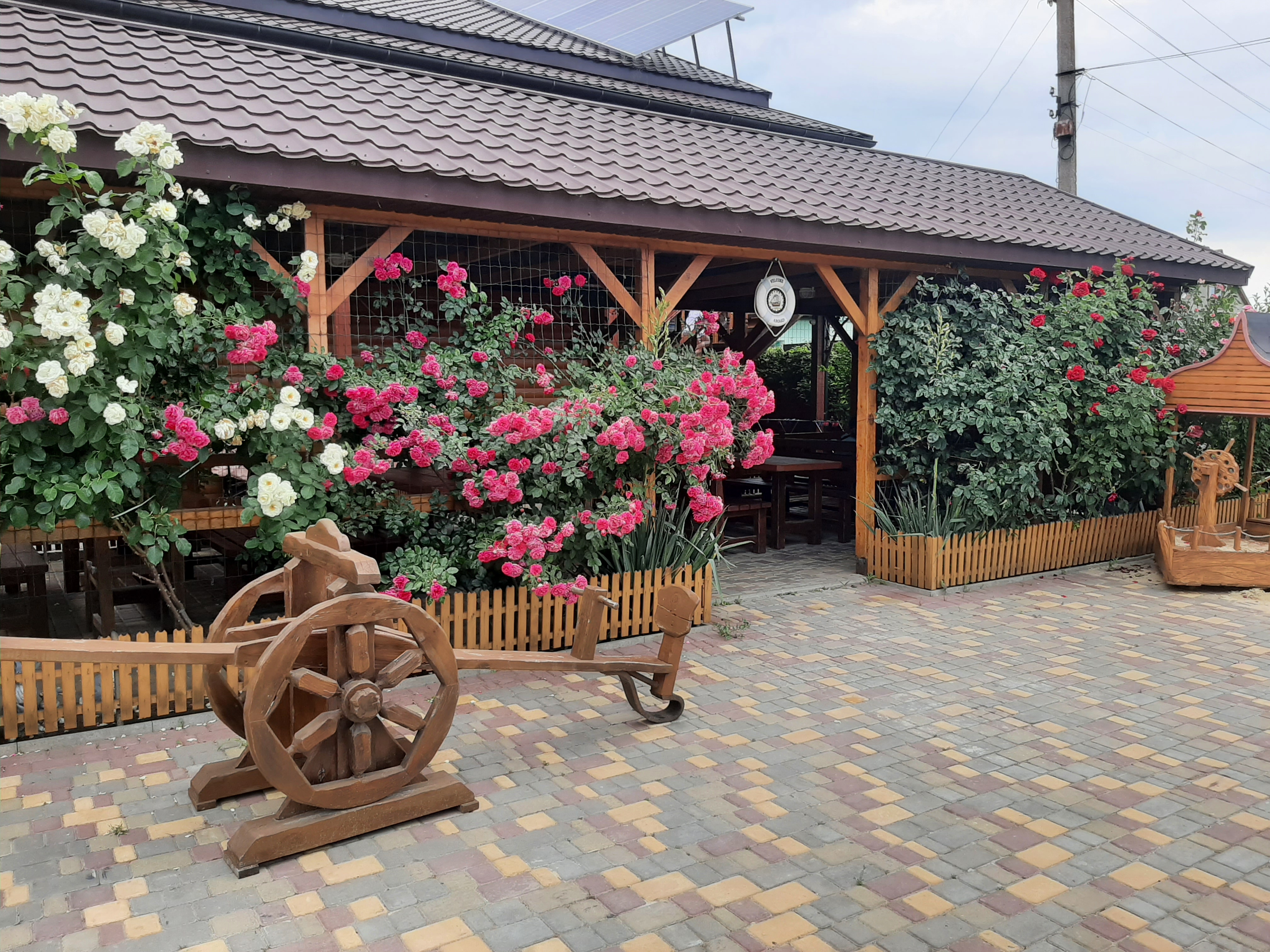 Фото Одиссей