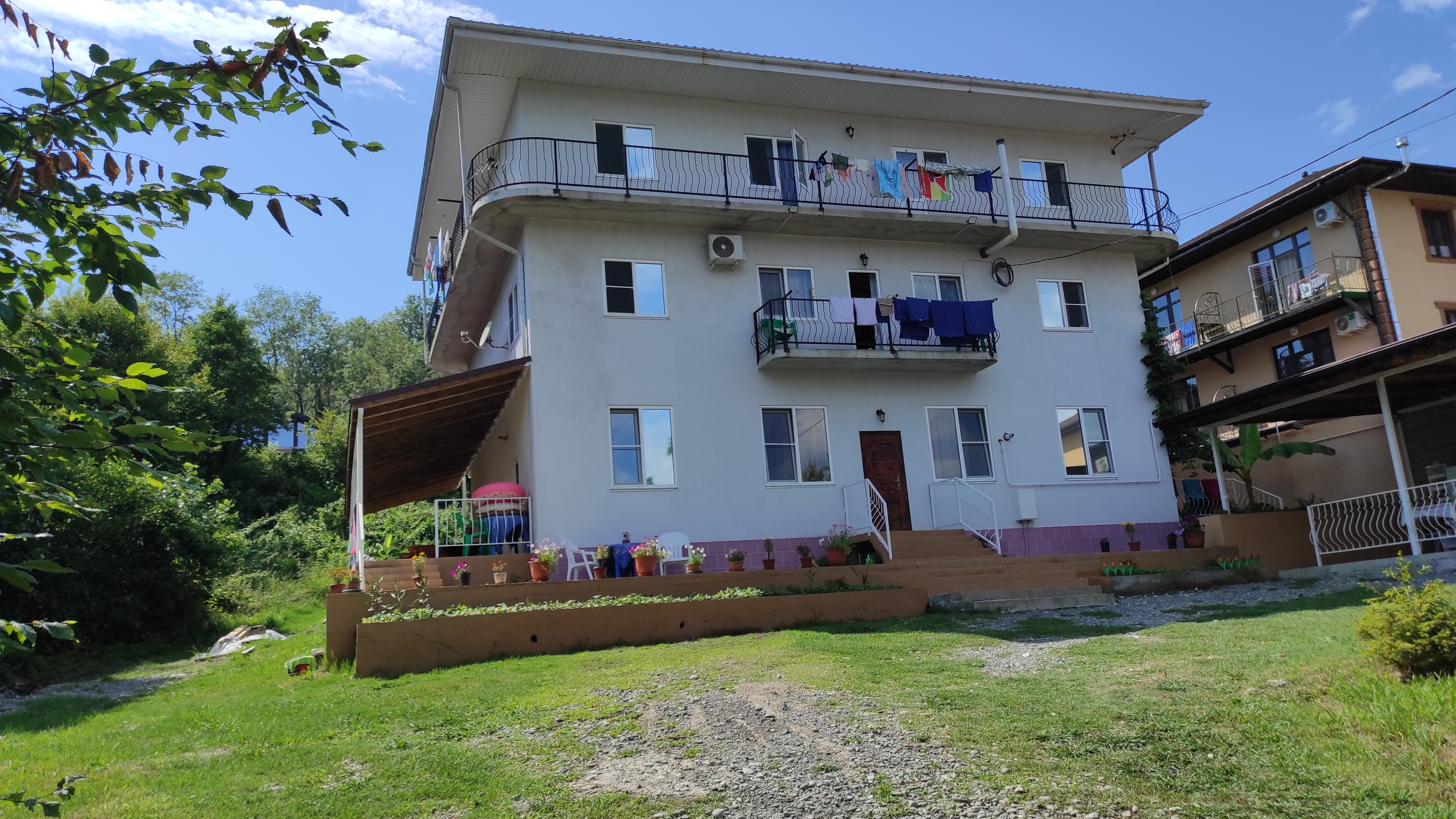 Фото Резеда