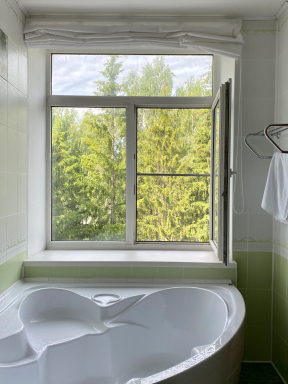 Фото Берёзки