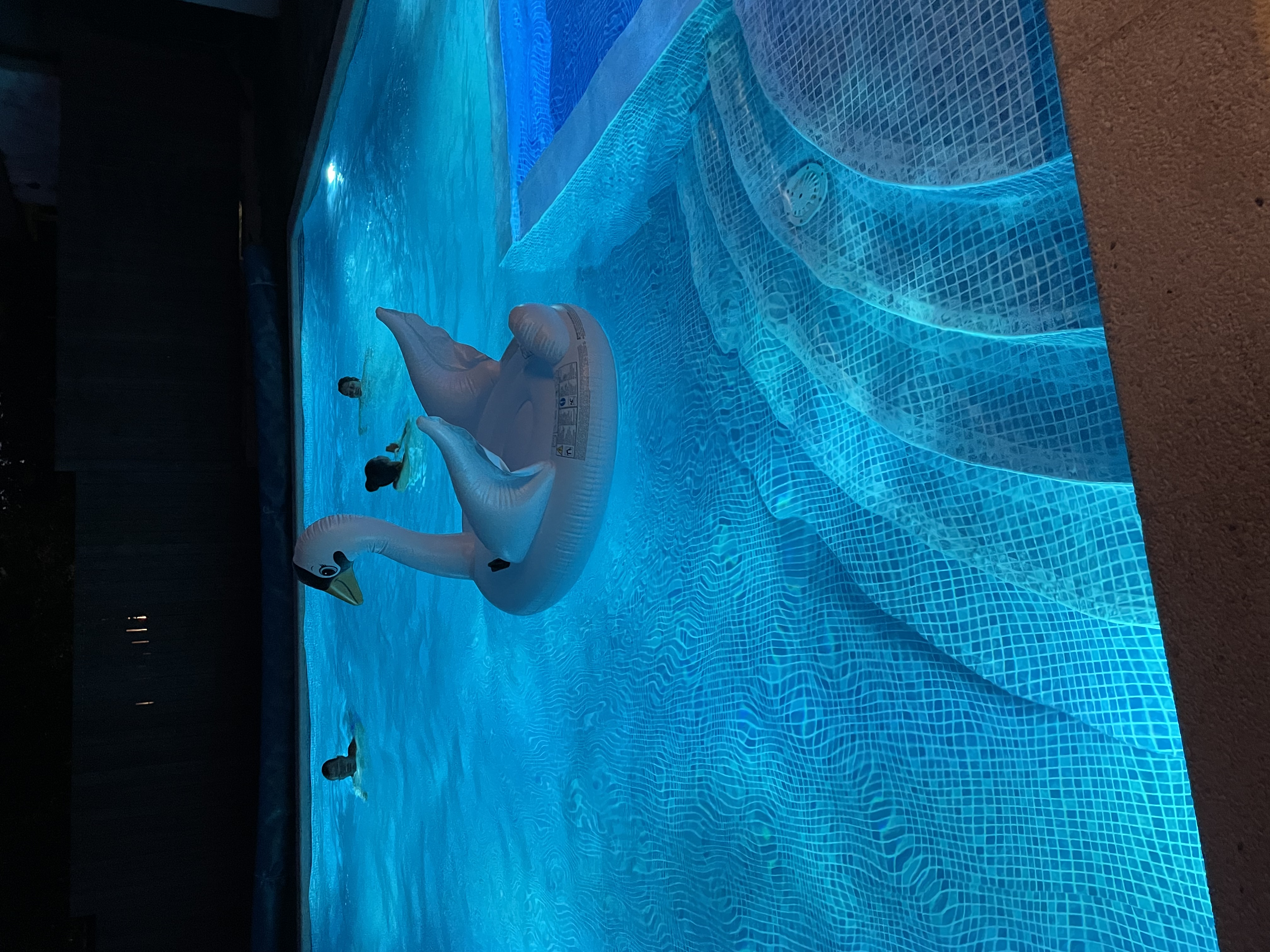 Фото ЭлеОн Хаус