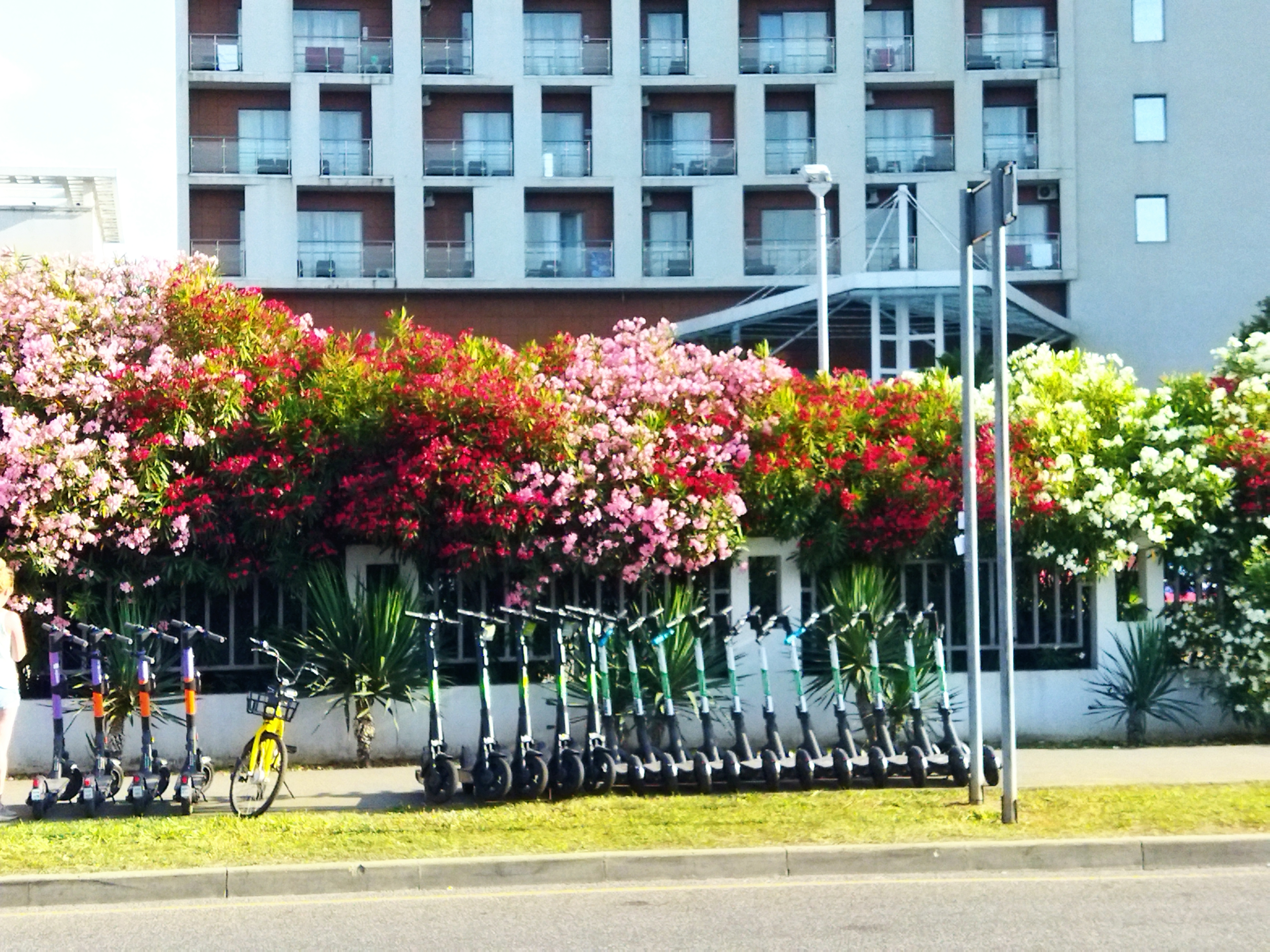 Фото Спортивный Квартал