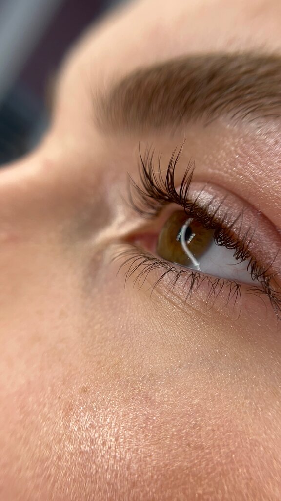 Eyebrow and eyelash salon Brows&Lashes, Sergiev Posad, photo