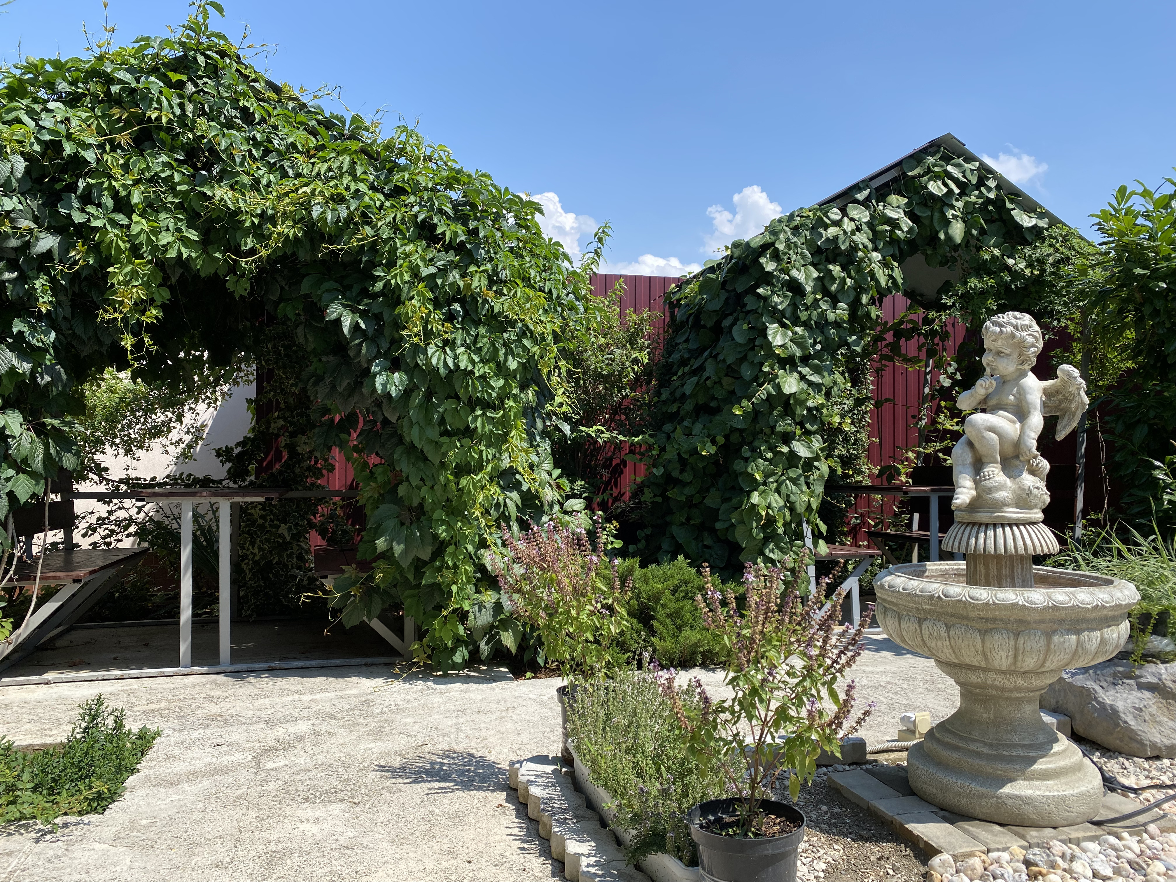 Фото Околоморье