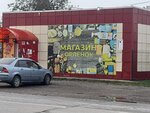 Орленок (Orlovka, ulitsa Mira, 28), grocery